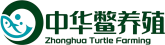 中华鳖养殖
