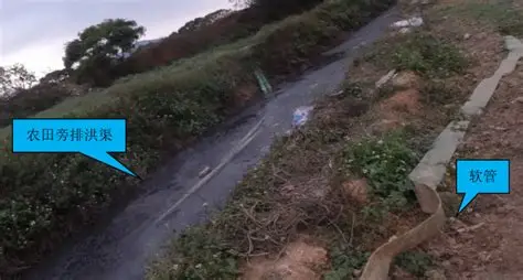 四大核心配套系统建设（高密度养殖必备，缺一不可）