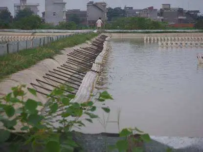换水与排污管控（高密度专属方案）